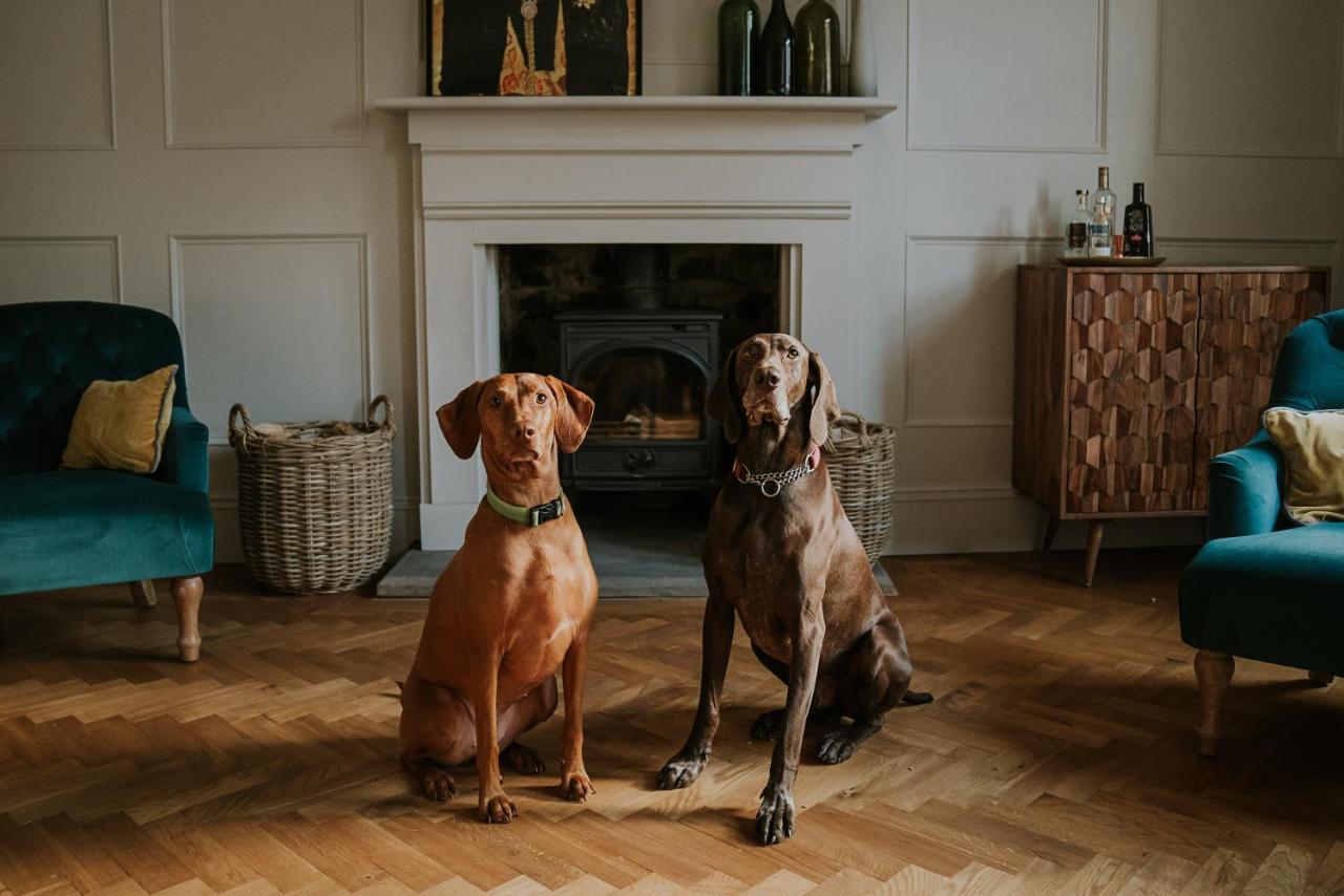 Dacre House, Gilsland Bed & Breakfast Eksteriør bilde
